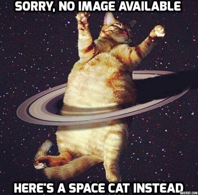 space cat